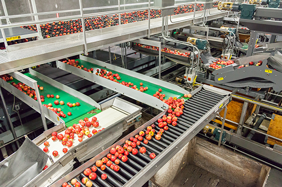 Food Processing security cameras by Security Cameras of Cincinnati
